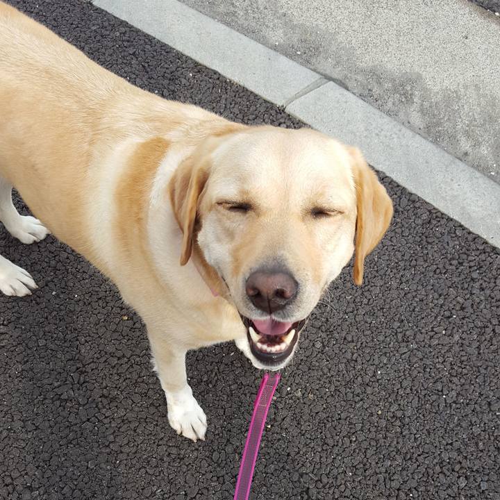 De02e7d2 327a 4cc8 9277 147a9f9746d1