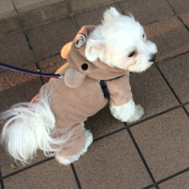 De036954 c4db 4f22 a856 5b932e527fba