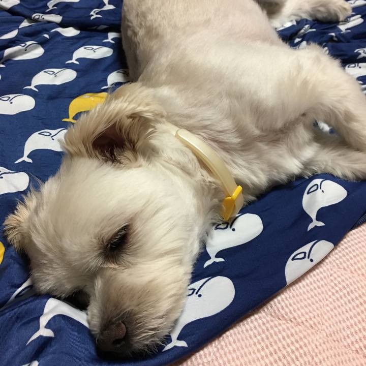 De0403f3 58fd 4cb4 90b9 9869f280f11e