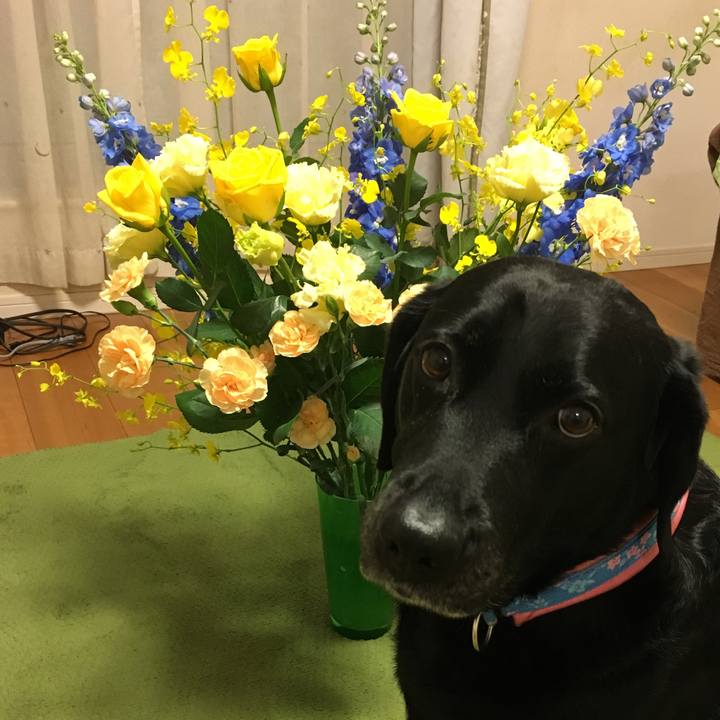 De045505 6077 4129 bba7 c336de012bb3