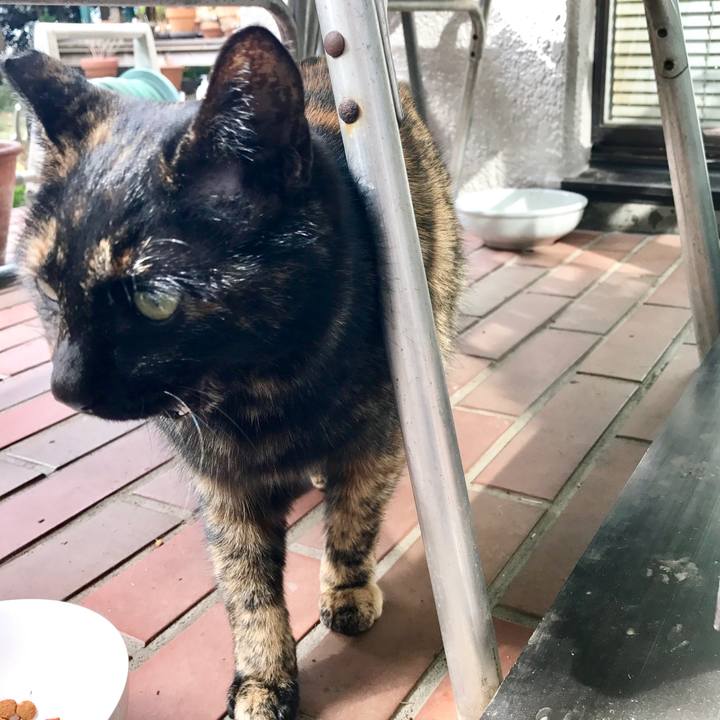 De049682 03e4 48ae 9fdf 7f2fae633001