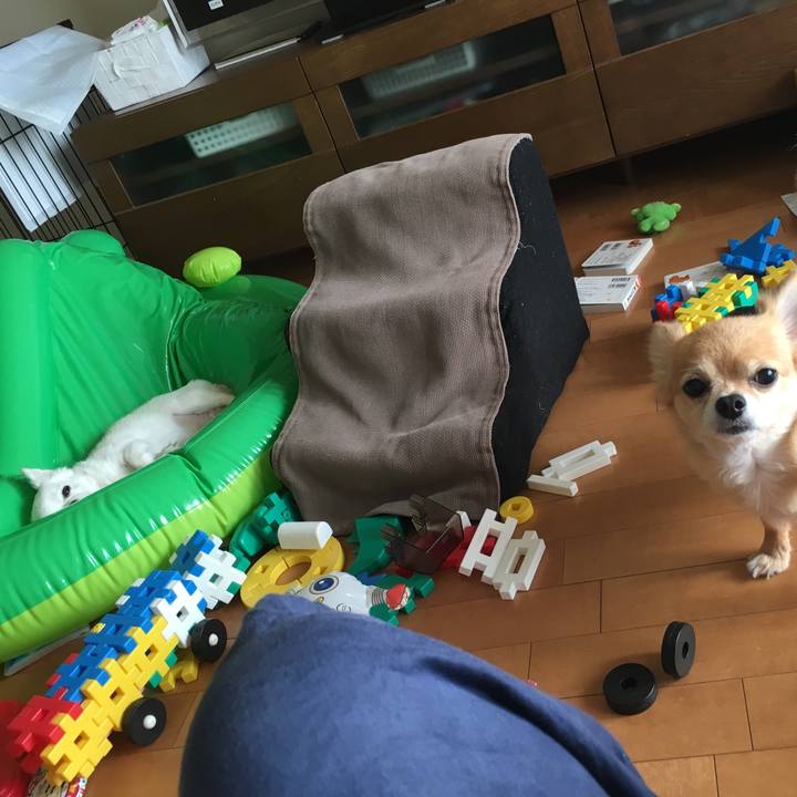 De05ce3f 96cb 4ce3 99bf 305b7d12e059