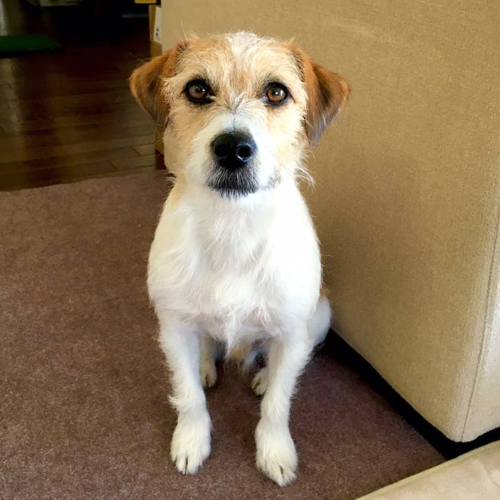 De06643a 6ed0 4e7d b788 a5ba0e980621