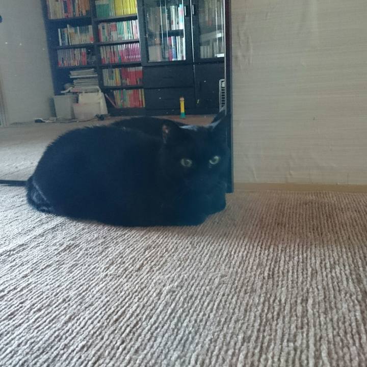 De0699b6 108f 4a01 8ead 7d36e7c6d8f8