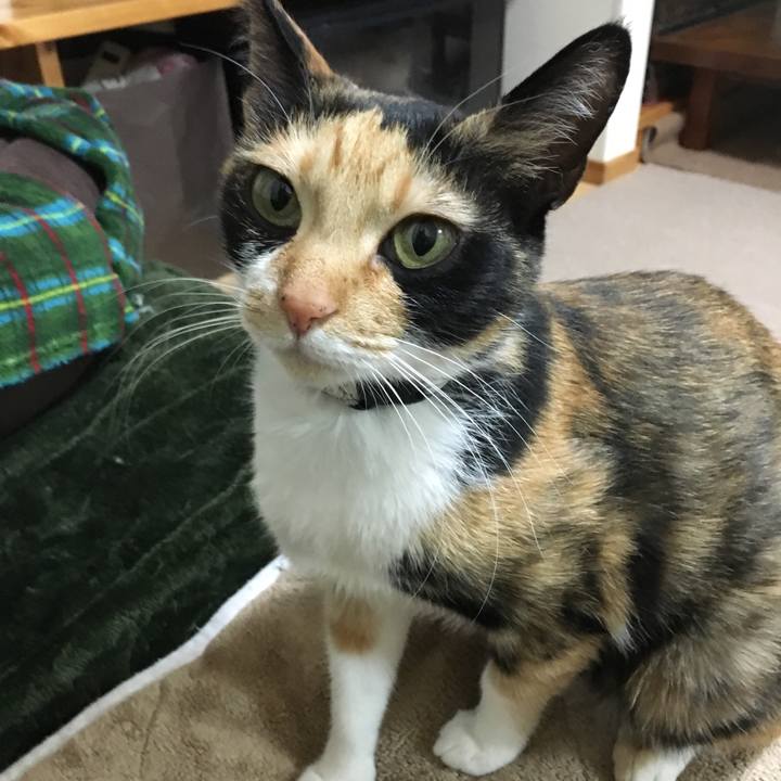 De06db2a daf0 4499 b333 96ac920c0cb1