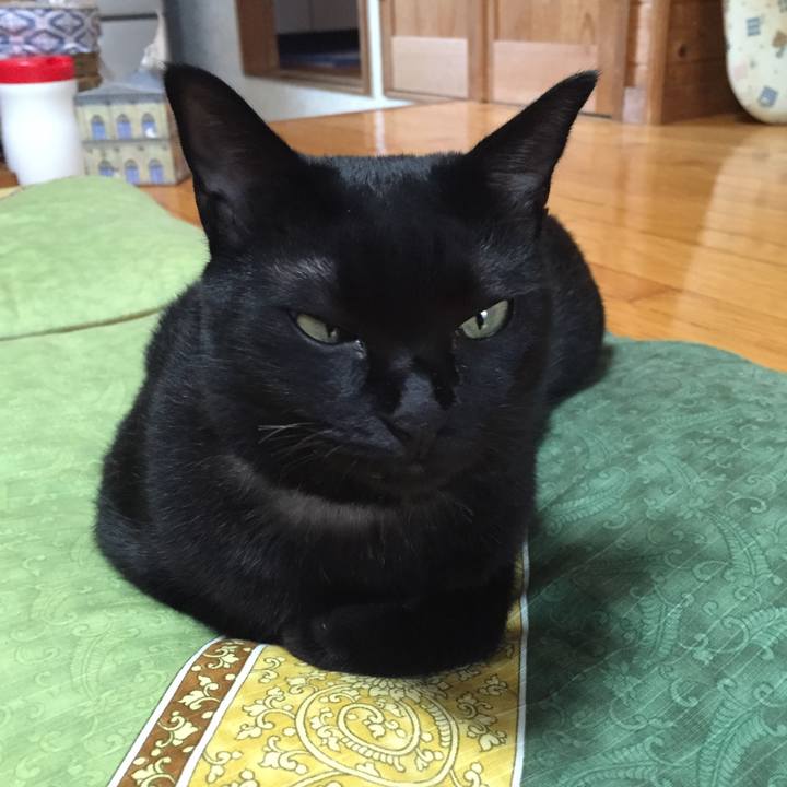 De074ca8 0fc0 45a0 aa2a ce3413329b88