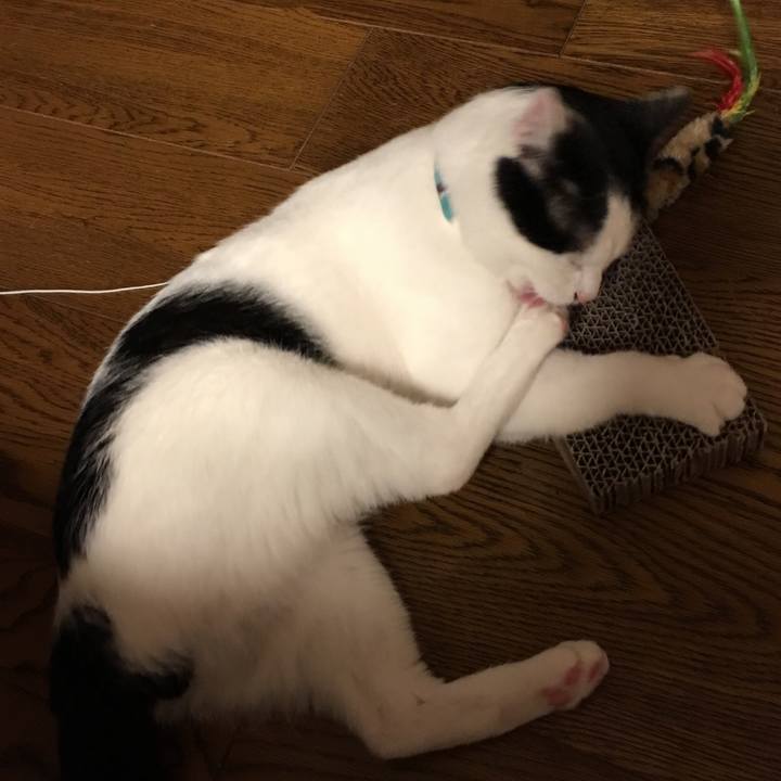 De07899d cd2a 48cb b442 1ec41ee5de3c