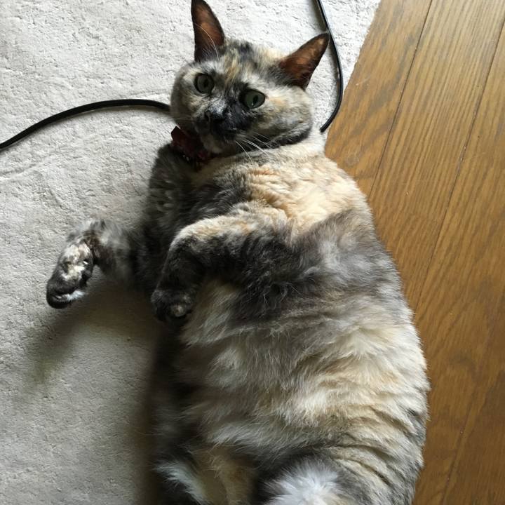 De079a71 04d5 446a afb4 f26939266d6b