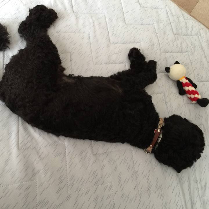 De0807c8 5034 41b5 a723 3e74d5f08d4d