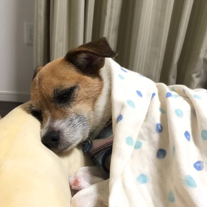 De0836f7 8de5 4977 b477 a38cd968742d