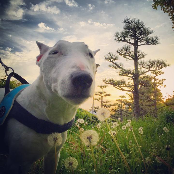 De085d0a d17a 4ab3 be33 3d5f89570bc6