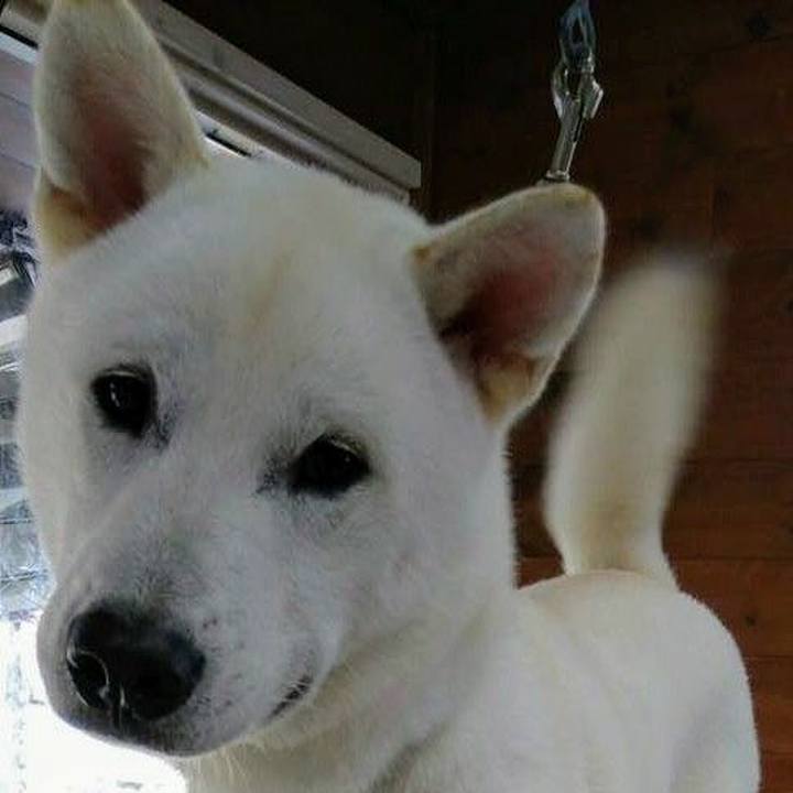 De08f9e7 8d08 4b0f be2b 987d086f9351