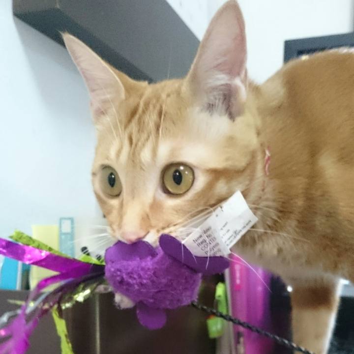 De0a426f c492 4209 969a 00541f47c053