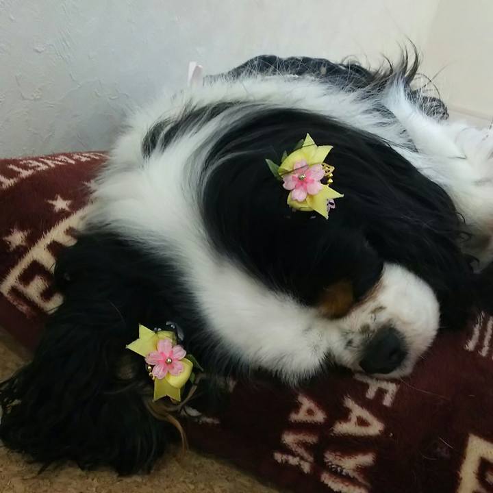 De0ab051 7a08 49fa 9d6b a92d9e85ae2a