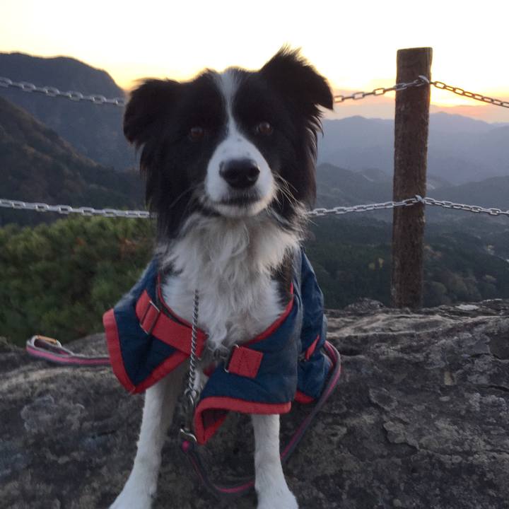 De0acb23 792d 4a53 9f99 080c22771ea3