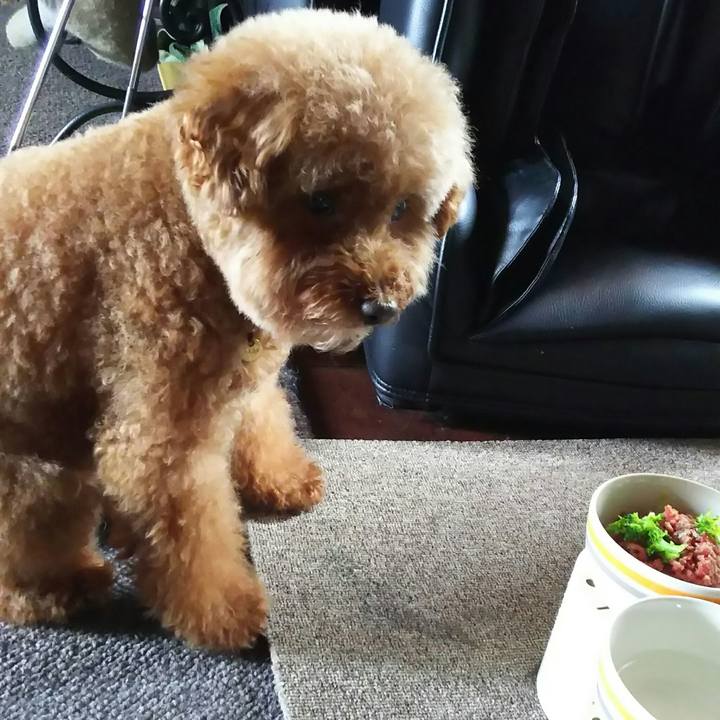 De0b0d22 6fb0 4d0d 8cbe 2a04cd613e7e