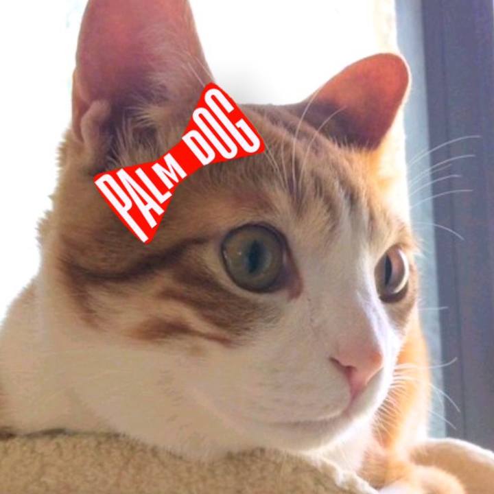 De0b2dfe c711 4a87 93a9 51929bb1a213