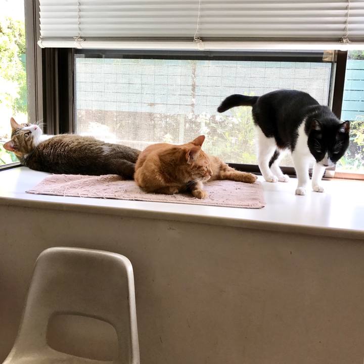 De0b35d5 e73d 4806 a358 8ec925240140