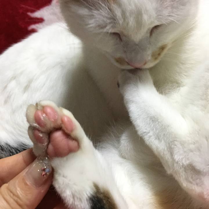 De0b8410 086e 4882 afbf 98345e9a9066