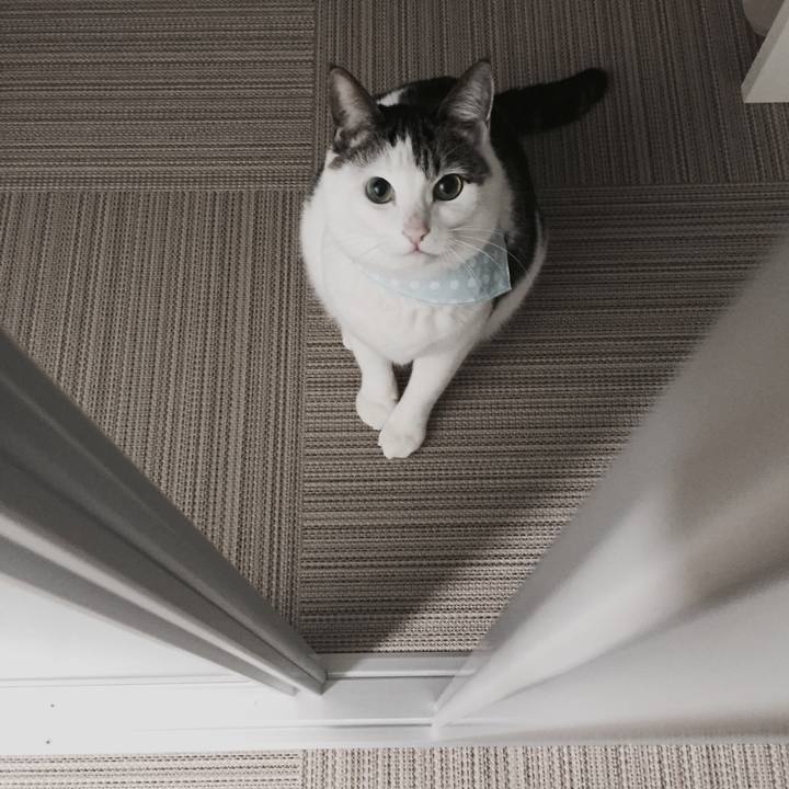 De0bb271 407b 4550 8bcc 337912304c7b