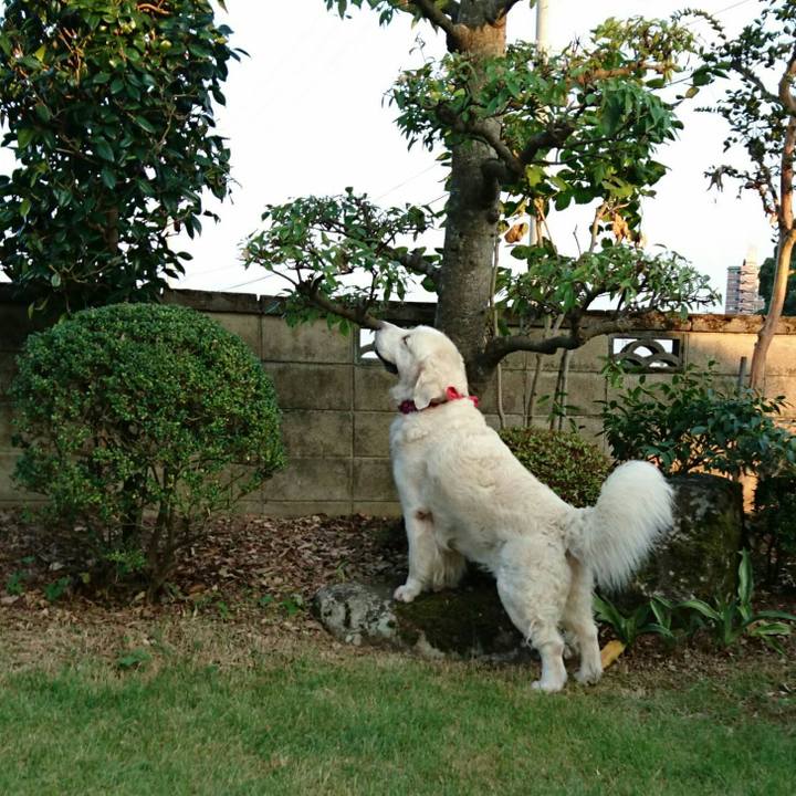 De0bba71 e196 42ec a5d9 81b1571273c7