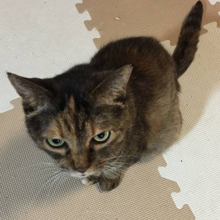 De0c2a2f fa81 49cc a275 4ffe08eb98e9