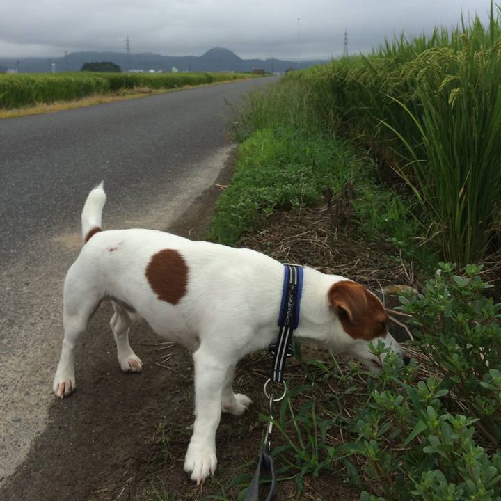 De0c5df3 bbc8 4828 abf2 ead858056bc5