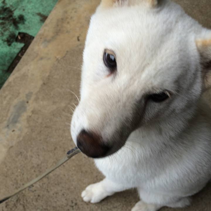 De0cf869 507b 45c5 83e7 c2cf3674bcd2