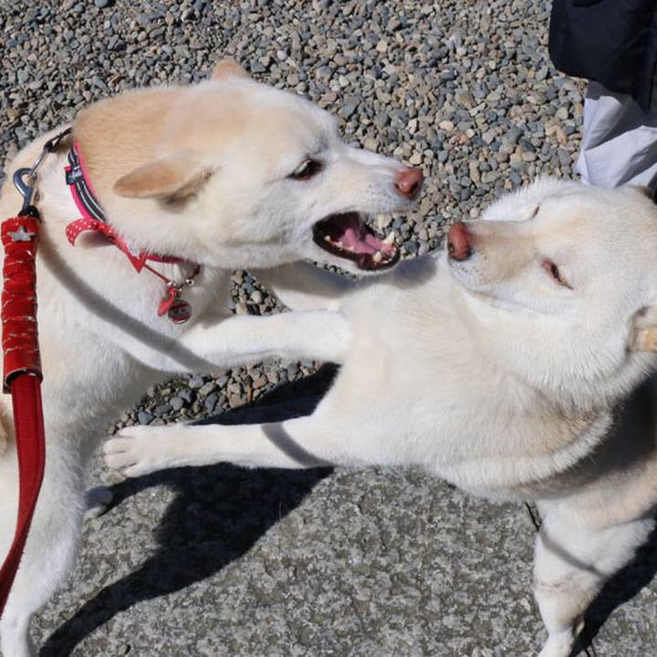 De0daf62 692b 48f0 b081 e5917e4c06b5