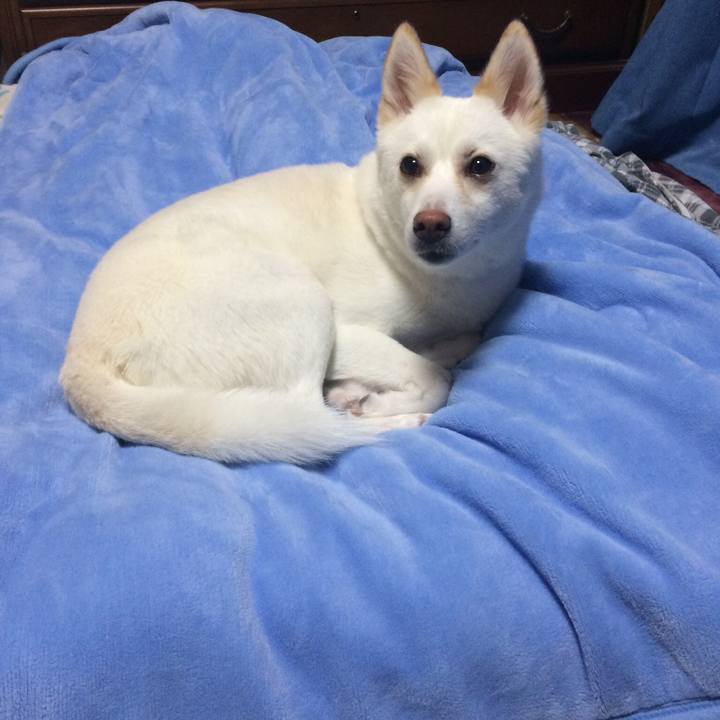 De0dd669 77c5 494d 82e0 0e8bffec35d5