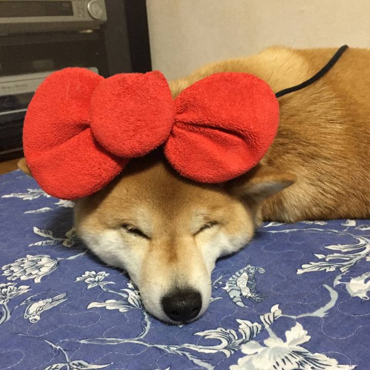 De0f039b c47f 44b8 bbfa 93b7249d602e