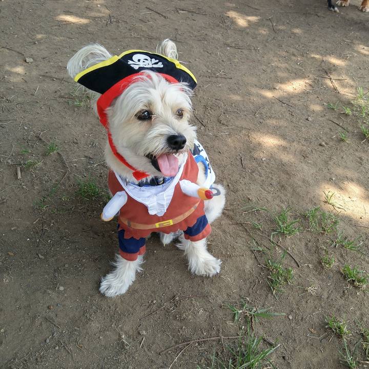 De0f383d 41b9 43ff 8b04 f1976f7284e7