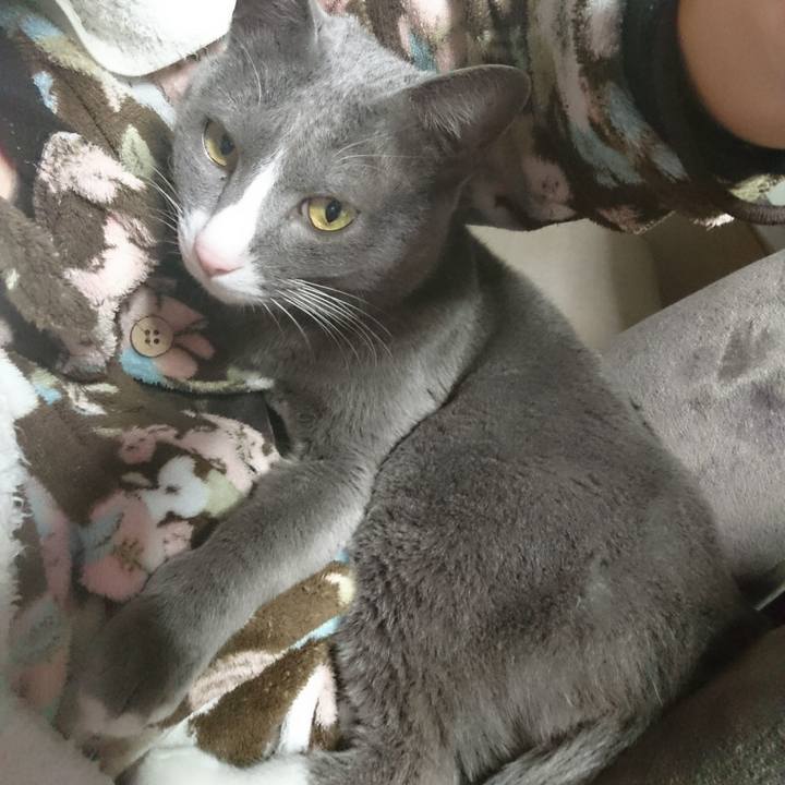 De0f65a8 d88d 4dfe 955c 34f46b300b71