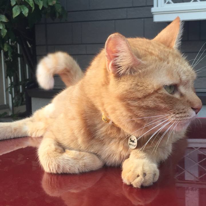 De0ff422 3eed 48ae 8317 f4645f7732b8