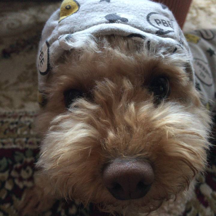 De10827c ac12 4590 9fce caa016db6184