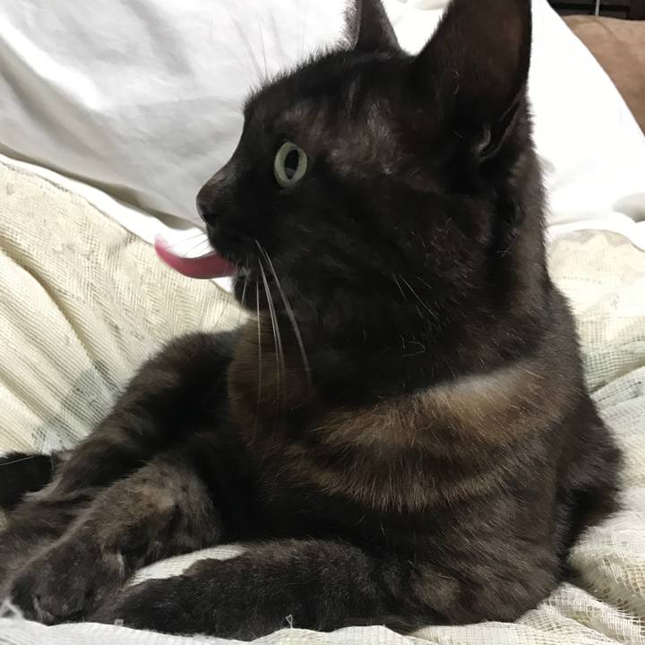 De10c021 6075 44ed 8524 c5ed4c7a1804