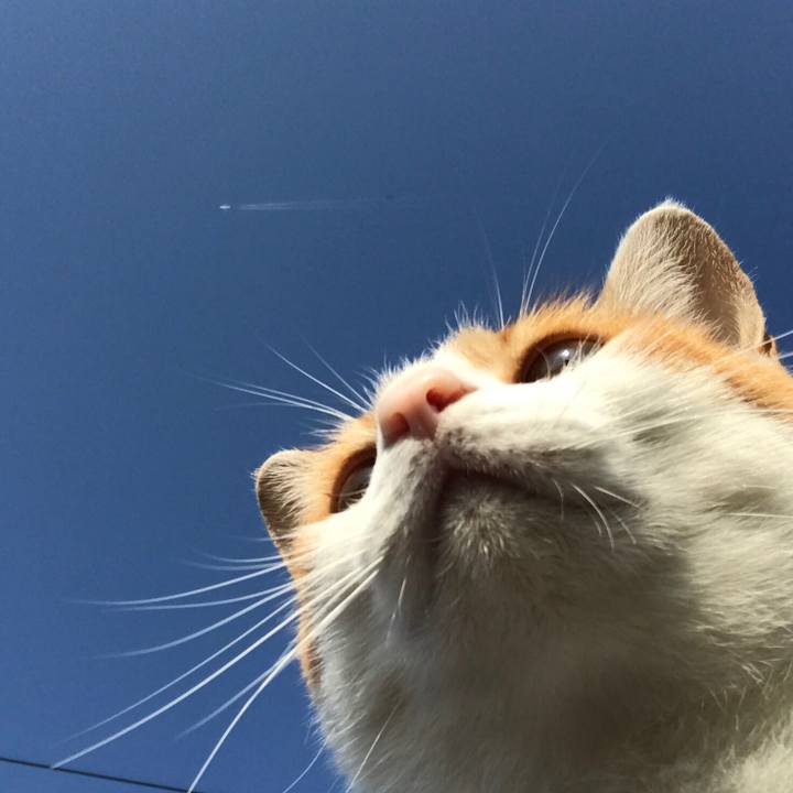 De11b021 00c9 4ee5 8552 9e4caa372e74