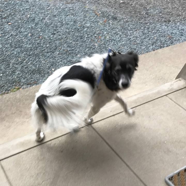 De11c6dd 14ce 4aac a1a0 c32b029f02f6