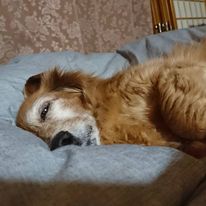 De125ab1 752b 4471 ba0d 4285bbb0f697