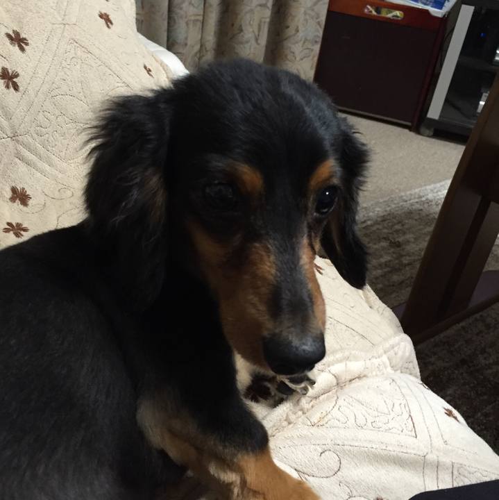 De12d518 aa67 44b3 b727 68a417f65de2