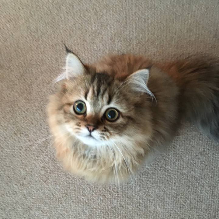 De12dd97 9fd4 4114 b36c 1cd1399de1ac