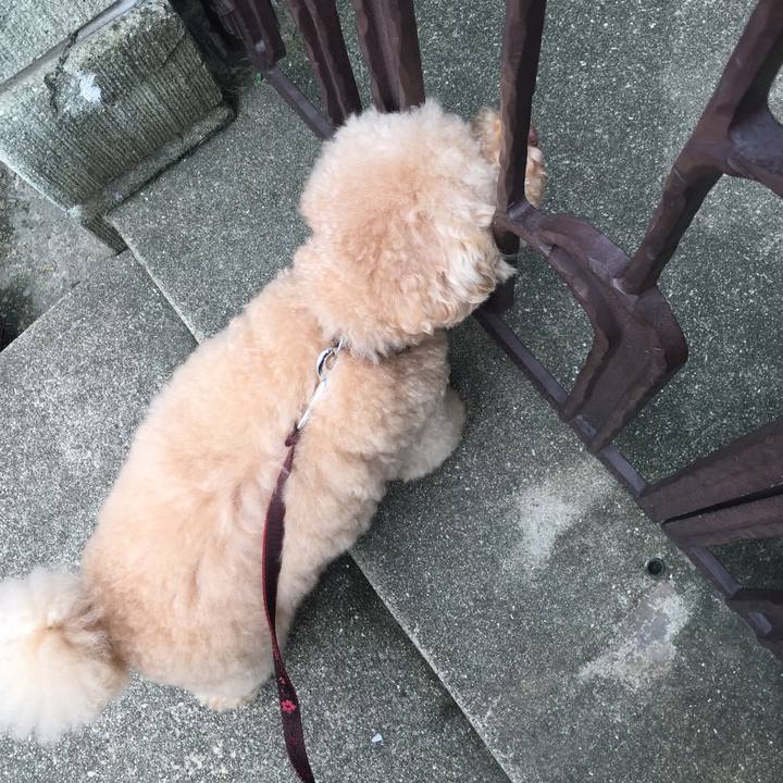 De12eb97 3f63 41c7 95a1 3d2194fe0376