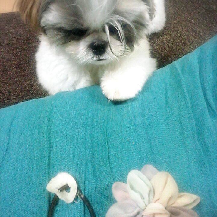 De12fcb8 1f46 4c44 9847 5822cf43030c