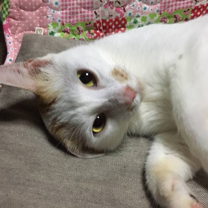 De13a989 418f 41e2 b169 ce0cbbc8b936