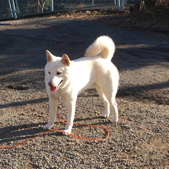 De143162 8b3c 42d6 a022 4b493a24b878