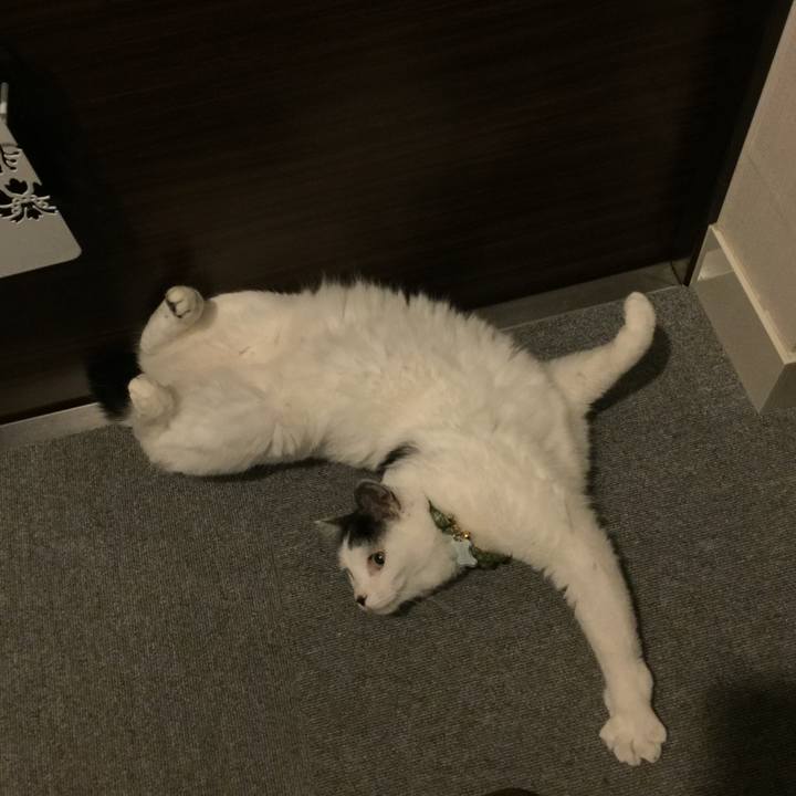 De14da20 3da0 44a7 a86e 87bb4014c042