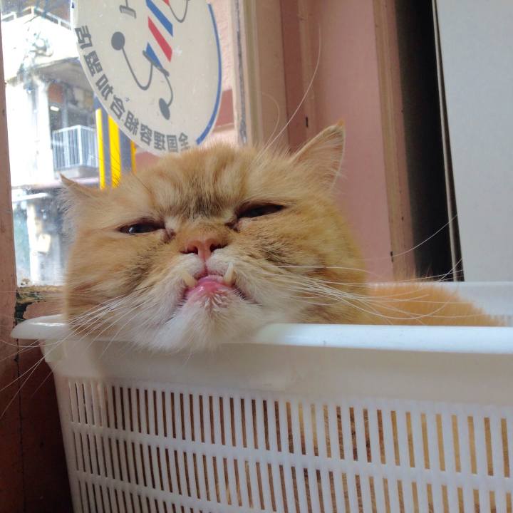 De152fa5 632f 4673 bf50 28cfd6e97f34