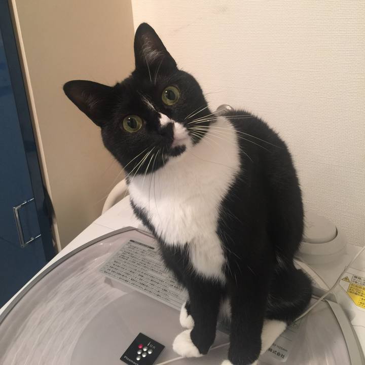 De16017e 56de 4e69 8992 311fbdb7fcab