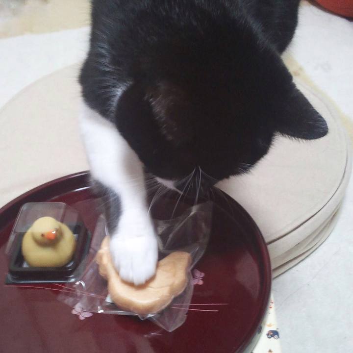 De1603c3 8a29 42fb 9314 61ae5f14b9d7