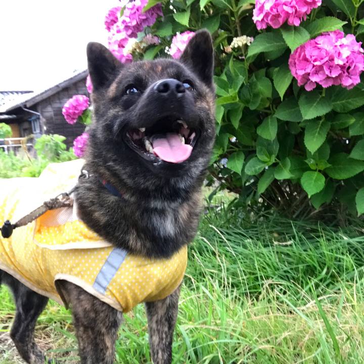 De174ec7 8e86 4203 97b8 e77ddc5c8f73